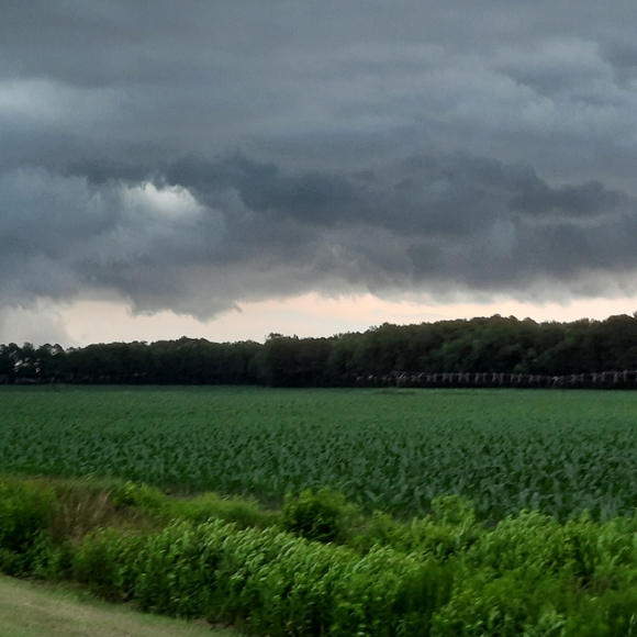 Meet your Posher, Vashti - Picture 11 of 16